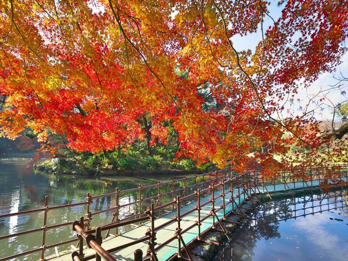 Bunkyo-Ku Hakusan House 東京都 エクステリア 写真